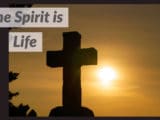 The Spirit is Life